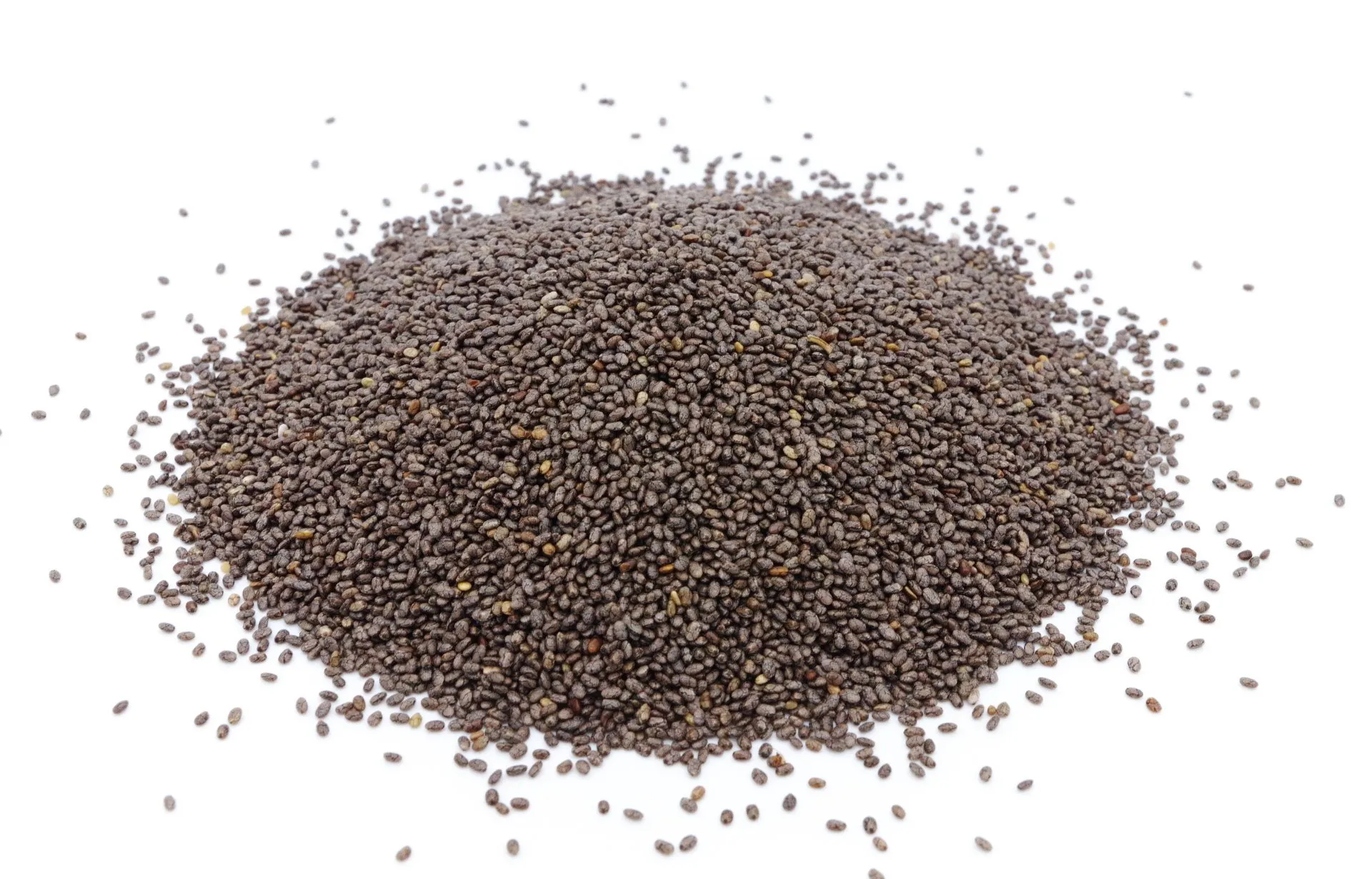 AcanChia UG & Co. KG