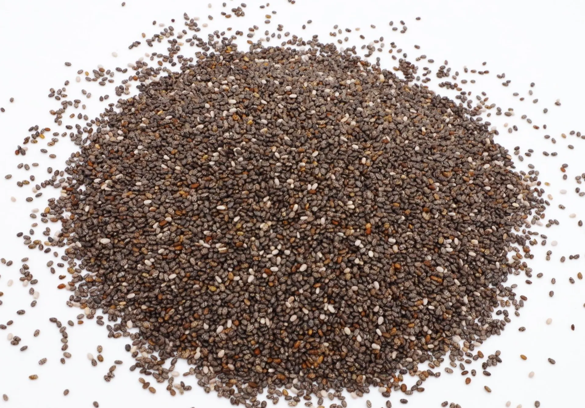 AcanChia UG & Co. KG