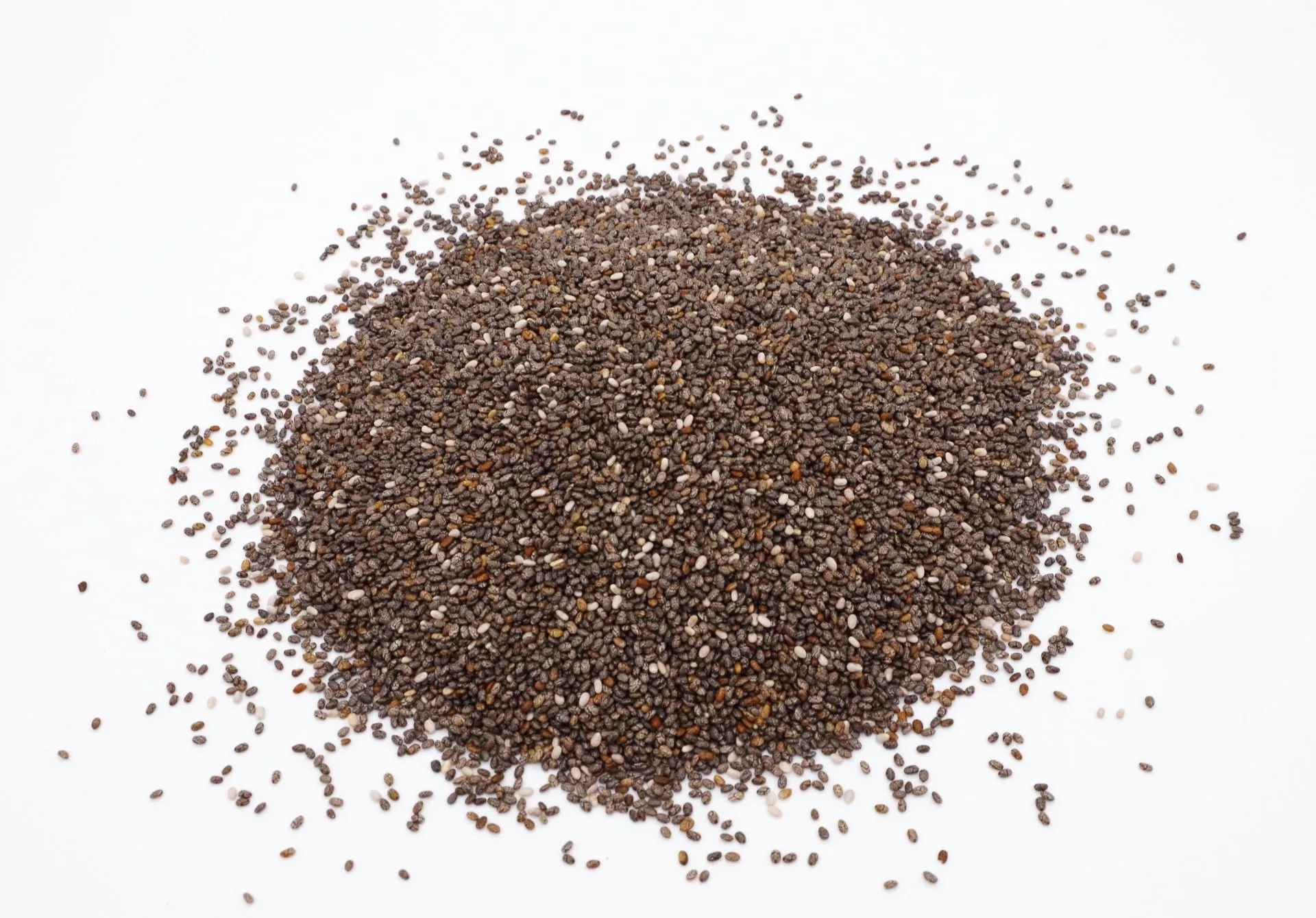 AcanChia UG & Co. KG
