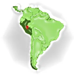 AcanChia UG & Co. KG