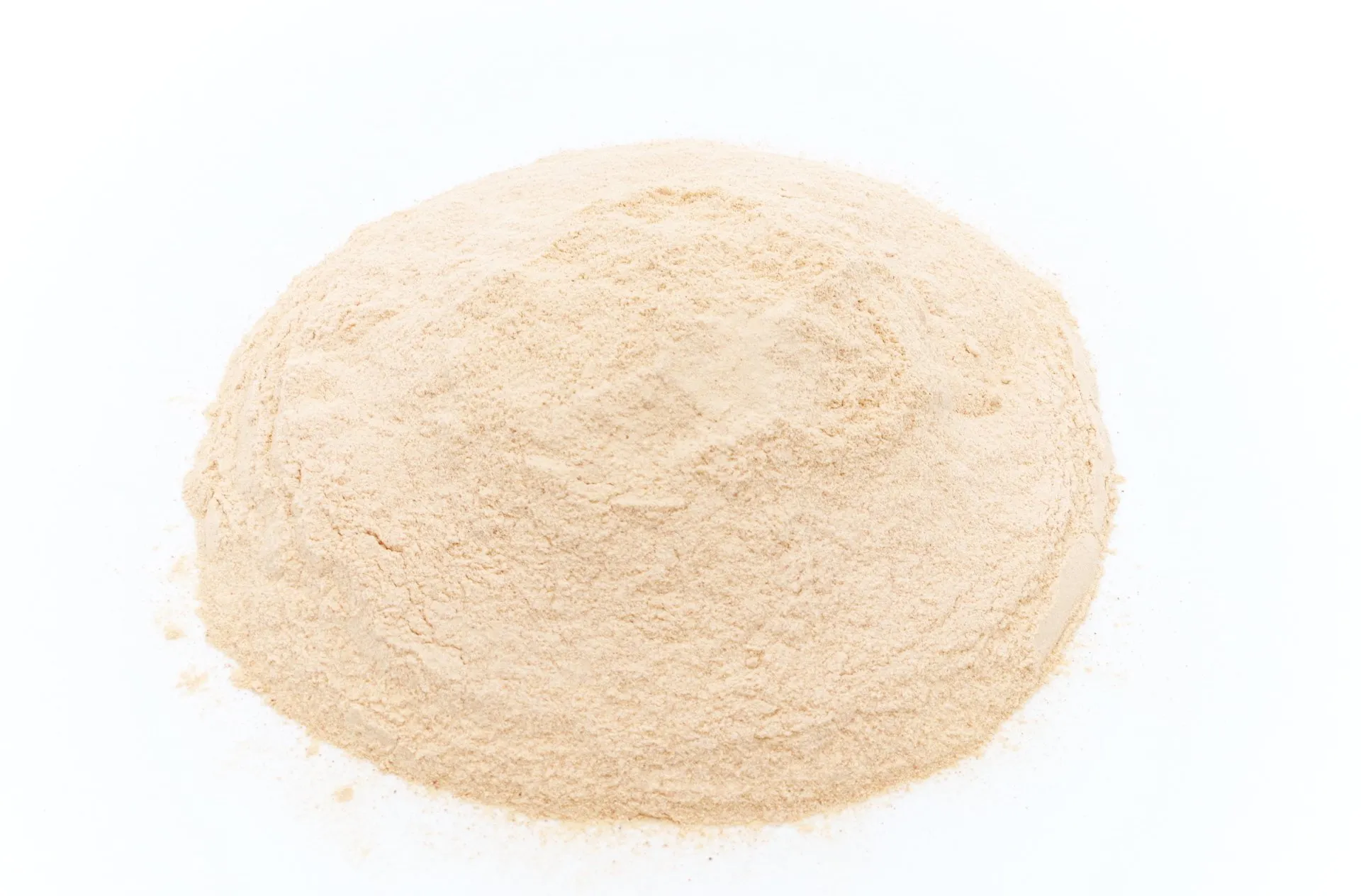 AcanChia UG & Co. KG
