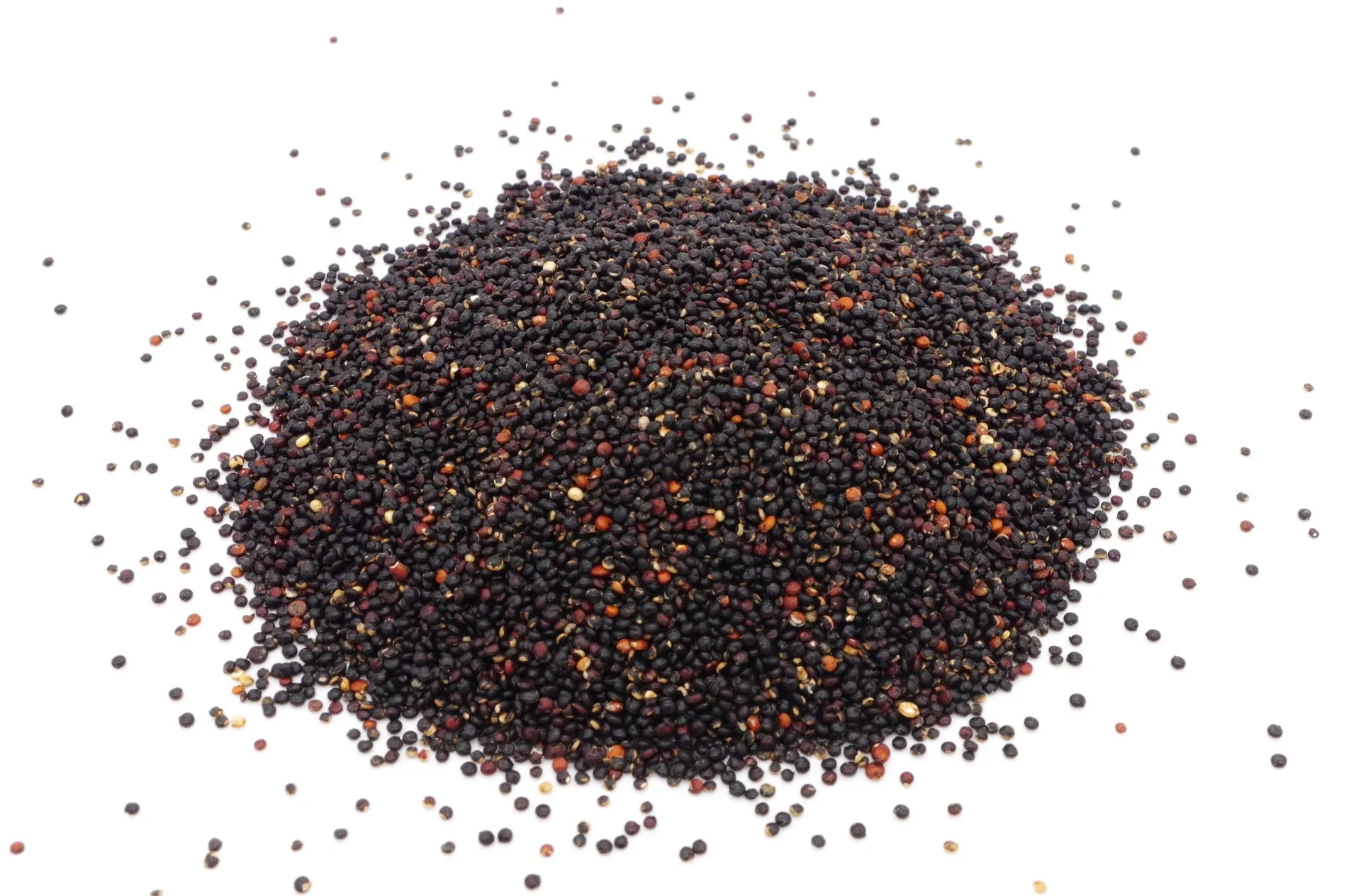 AcanChia UG & Co. KG