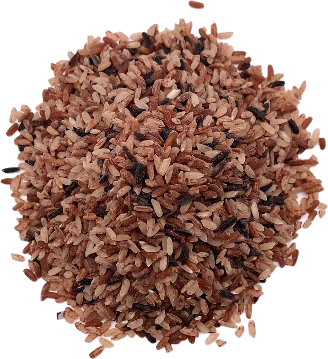 AcanChia UG & Co. KG