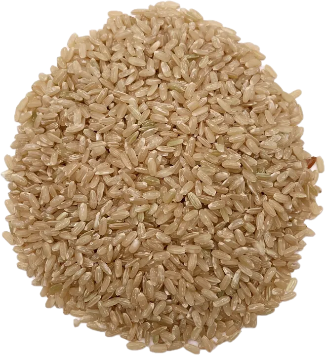 AcanChia UG & Co. KG
