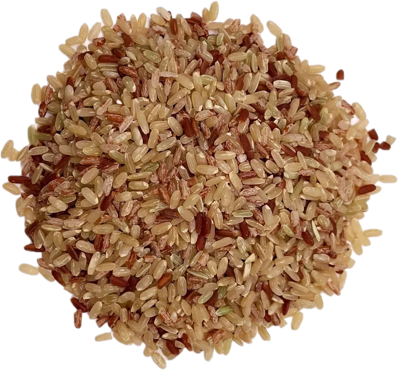 AcanChia UG & Co. KG