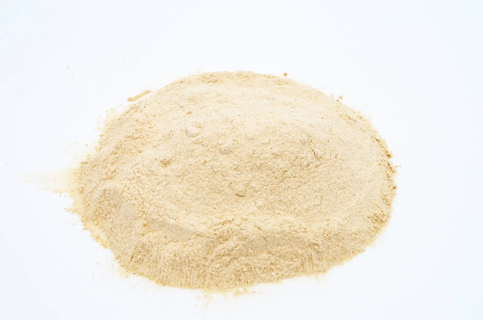 AcanChia UG & Co. KG