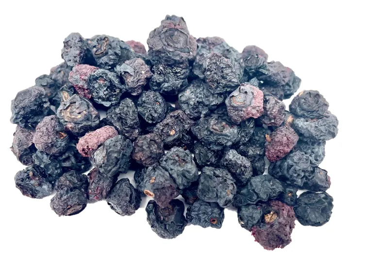AcanChia UG & Co. KG